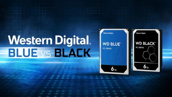 Western Digital Blue vs. Black Series - Which is best for your needs?